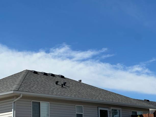 Best Roof Insulation Installation  in Bayou Gauche, LA